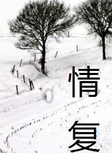 去年共立案侦办走私等案件4959起 “套代购”占四成